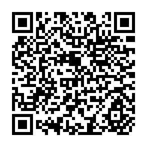 QR Code for A Socio-Economic Survey of Agriculture in the Lilongwe Land Development Program Area