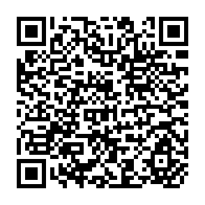 QR Code for A Socio-Economic Survey of Agriculture in the Lilongwe Land Development Program Area 1971-72