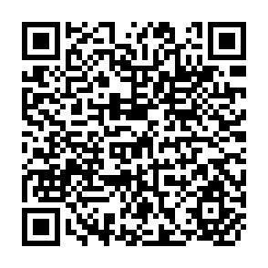 QR Code for Land reform in chile: Proposal for an institutional innovation