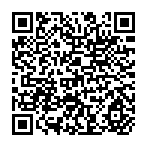 QR Code for Land reform in chile: Proposal for an institutional innovation