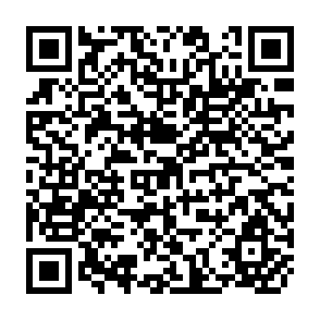 QR Code for Land tenure,Income distribution and productivity interactions