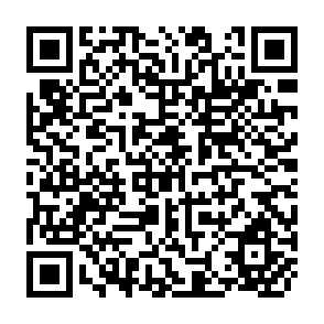 QR Code for Latin-American land reform: The uses of confiscation