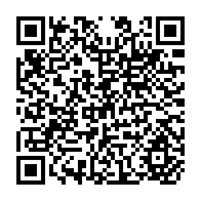 QR Code for Latin american land reform: The uses of confiscation