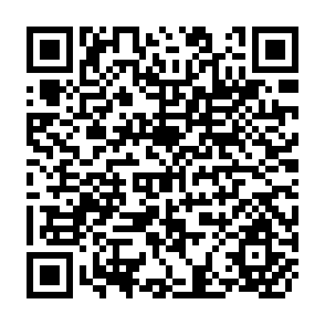 QR Code for Agrarian reform and economic development in Chile:Some cases of Colonization