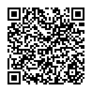 QR Code for Land tenure reform and agricultural development in latin america