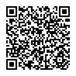 QR Code for Mechanization and the Chilean Inquilino System: The Case of Fundo "B"