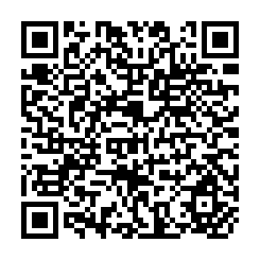 QR Code for Grassroots Economic Pressures in Chile: An Enigma for Development Planners