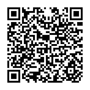 QR Code for The Productivity of Agricultural Labor in the Export Crops of Guatemala: Its Relation to Wages and Living Conditions