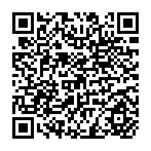 QR Code for The Productivity of Agricultural Labor in the Export Crops of Guatemala: Its Relation to Wages and Living Conditions