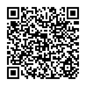 QR Code for Improving Access To Latin American Agricultural Information Through Modern Documentation Centers