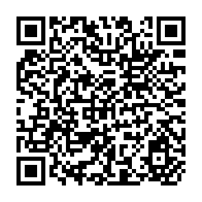 QR Code for Improving Agricultural Productivity For Poverty Alleviation Through Integrated Service Provision With Public-Private Sector Partnerships: Examples And Issues