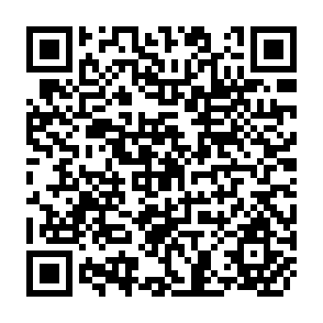 QR Code for Problems and Conflicts over Land Ownership in Bolivia