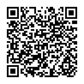 QR Code for Tenure and Productivity of Philippine Rice Producing Farms