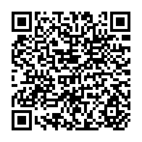 QR Code for World Investment Report 2009