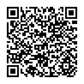 QR Code for Poverty as an Issue in Development Policy: A Comparison of United Ststes and Underdeveloped Countries