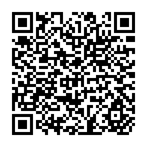 QR Code for The TSUNAMI Legacy