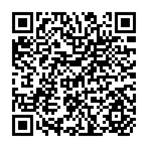 QR Code for Agricultural Extension in Chile: A Study of Institutional Transplantation
