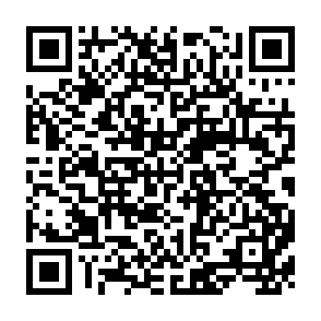 QR Code for The Feminization of Agriculture in Asia:Implications for Women's Agency and Productivity