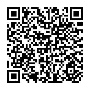 QR Code for Agrarian reform and employment The colombian case