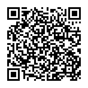 QR Code for Needed redirections in economics in economic analysis for agricultural development policy
