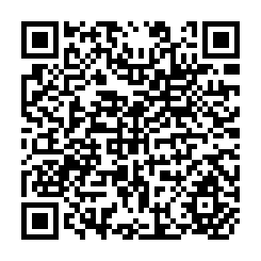 QR Code for Latin America's Employment Problem