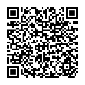 QR Code for Expropriation in chile under the frei agrarian reform