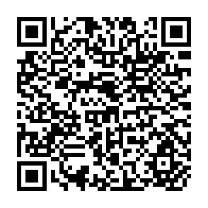 QR Code for Expropriation in chile under the frei agrarian reform