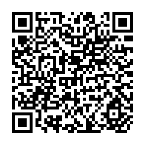 QR Code for The Economic Case for Land Reform :Employment , Income Distribution and Productivity