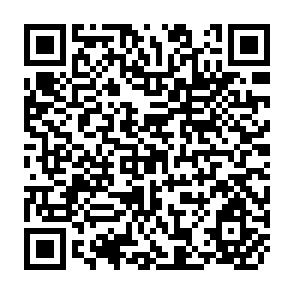 QR Code for Seeds and synergies