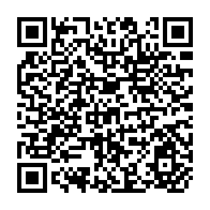 QR Code for Responsiveness of Subsistence Farmers to New Ideas: Dwarf Wheat on Unirrigated Small Holdings in Pakistan