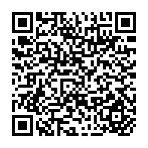 QR Code for Foodgrain Situation in SAARC Countries