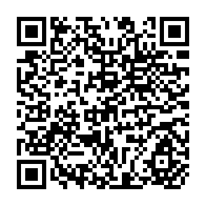 QR Code for The Present and Future of Integrated Coastal Zone Management (ICZM) from the Aquaculture Viewpoint