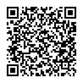 QR Code for Study of the Multiplication and Distribution Programme for Improved Seed