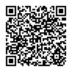 QR Code for Development of Soil Information System and Its Application in Korea