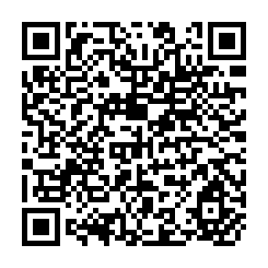 QR Code for Projections of Effects of Modern Inputs on Agricultural Income Employment in Community Development Block, Uttar Pradesh, India