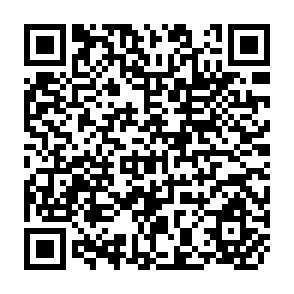 QR Code for Projections of Effects of Modern Inputs on Agricultural Income Employment in Community Development Block, Uttar Pradesh, India