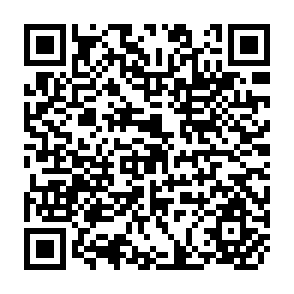 QR Code for Chinese land reform in retrospect
