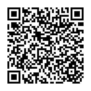 QR Code for Some Problems of Marketing Among Small Peasant Proprietors in Chile
