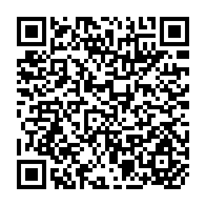 QR Code for Some Problems of Marketing Among Small Peasant Proprietors in Chile