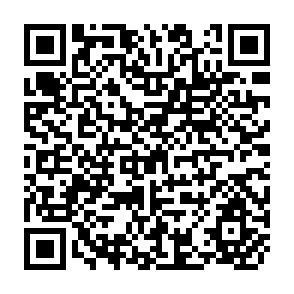 QR Code for Fellowship Study Report on Paddy Farm Management in Japan