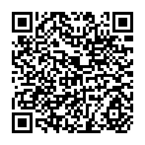 QR Code for Economic Development in Asian Perspective