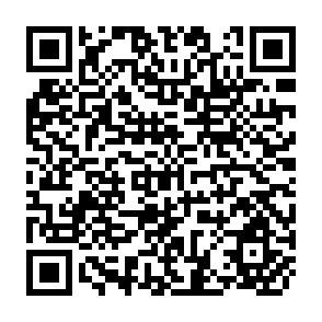 QR Code for Pacific- Subregional Report