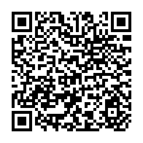 QR Code for Harvesting Feminist Knowledge for Public Policy