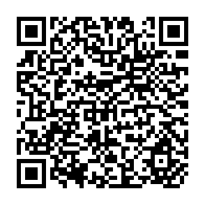 QR Code for The Custodians of Biodiversity