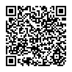 QR Code for World Development Report 2010