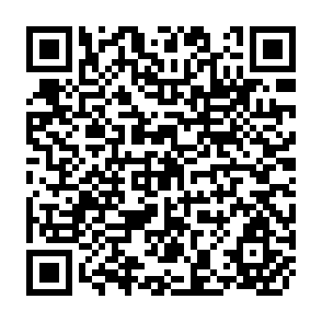 QR Code for World Development Report 2008