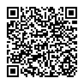 QR Code for Feeding the Nation: Technology, Development and Policy Interventions