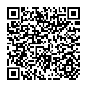 QR Code for Summary of the Evaluation Studies 1960-61