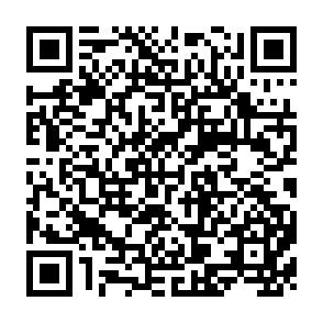 QR Code for Policy Response To The Impact Of Global Food Crisis In Indonesia