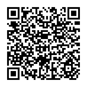 QR Code for Output Effects of tubewells on the Agriculture of the Punjab: Some Empirical Results